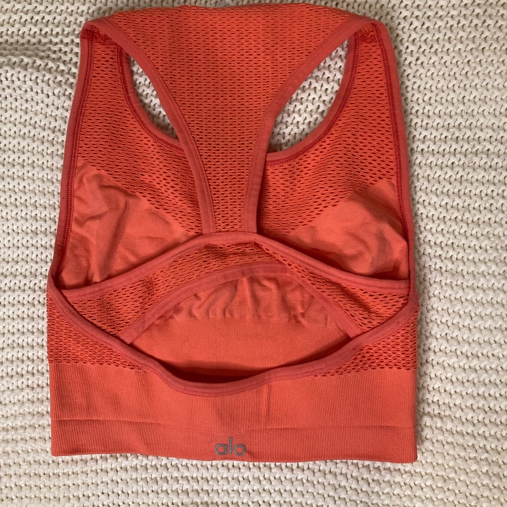 Alo Yoga Power Crop Mesh Sports Bra in Guava